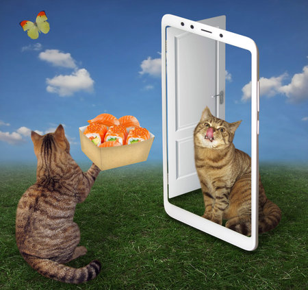 The beige cat delivers a paper box of sushi to the customer home. A door looks like a screen...