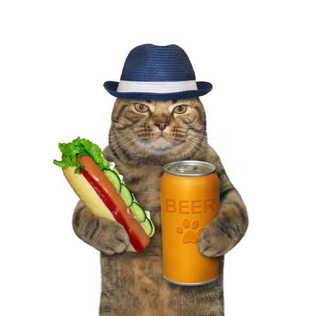 The beige cat in a hat is eating a hot dog and drinking beer from a can. White background. Isolated.の写真素材