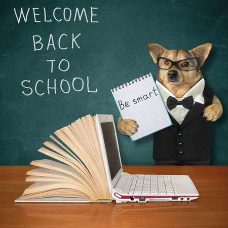 The beige dog in glasses is holding a notebook in a cage near a blackboard with lettering welcome back to school.の写真素材