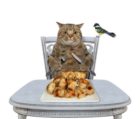 A beige big eyed cat with a knife and a fork is eating fried meat from a square plate at a table. White background. Isolated.の写真素材