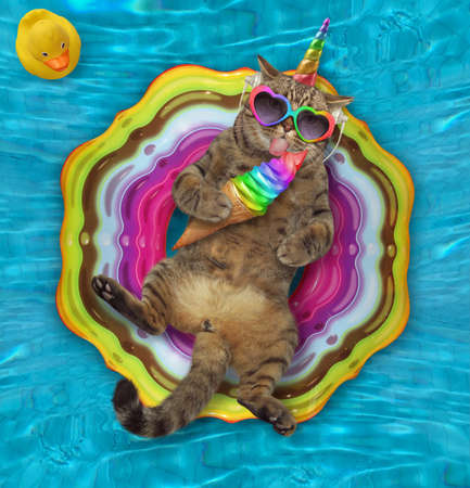 A beige cat unicorn in a sunglasses is lying on an inflatable colored ring and eating a ice cream cone in a swimming pool.の写真素材