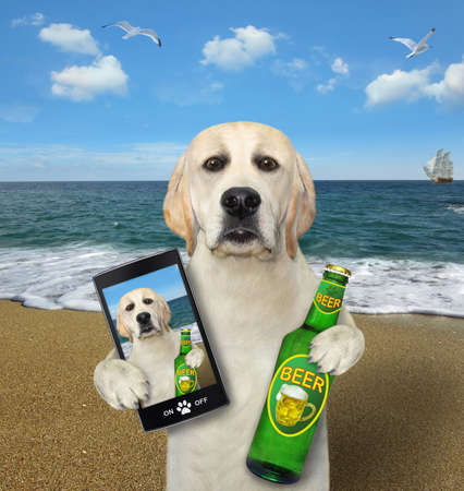 A dog with a bottle of beer takes selfie on the seashore.の写真素材