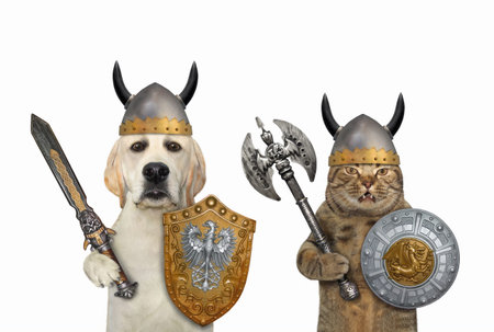 A dog with a cat are knights armed with shields, helmets, an sword and a two sided ax. White...