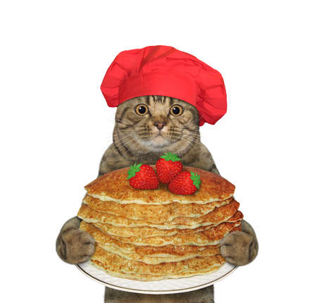 A cat in a red chef hat holds a plate with a stack of pancakes. White background. Isolated.の写真素材