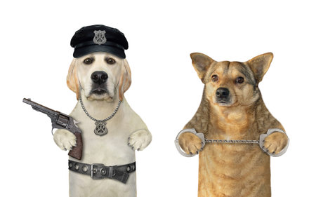 A dog policeman with a gun is arresting a criminal. White background. Isolated.