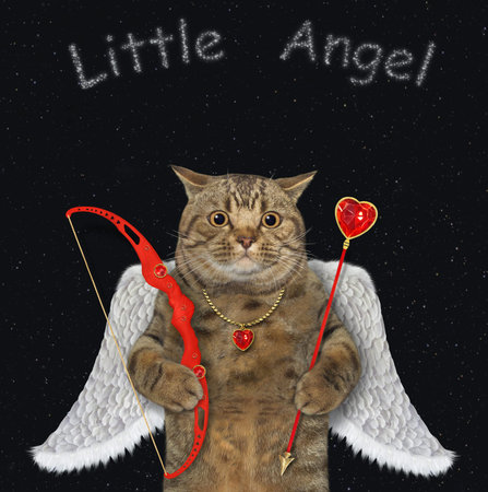 A beige cat angel holds a bow and an arrow. Black stars background.