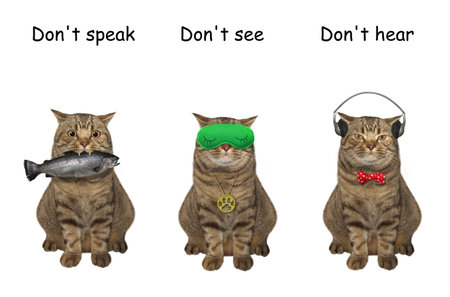 Three cats covering its eyes, ears and mouth like three wise monkeys. Don't speak, see and hear....