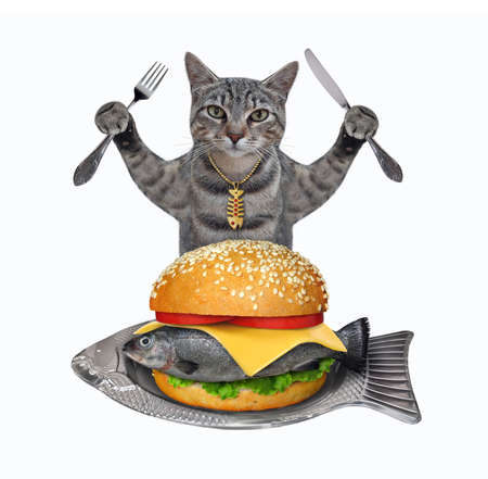 A gray cat with a knife and a fork eats a big fresh fish burger from a fish shaped plate. White background. Isolated.の写真素材