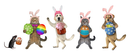 Pets in pink easter bunny hats are holding easter cakes and eggs. White background. Isolated.