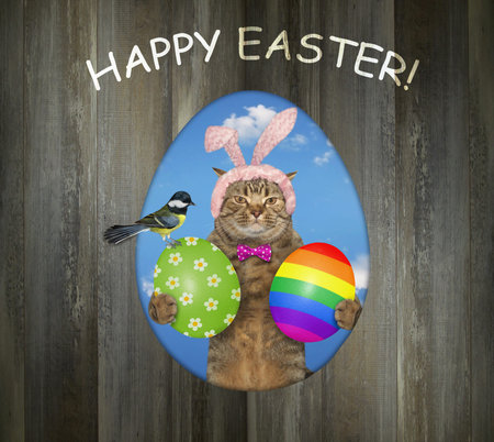 A beige cat in a pink bunny hat with easter eggs is looking out through a hole of a wooden fence....