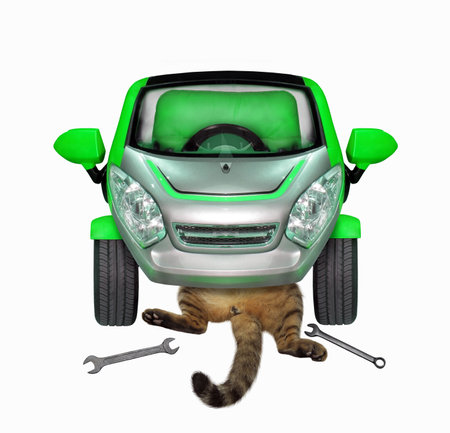 The cat auto mechanic is lying under the green car and fixing it. White background. Isolated.の写真素材