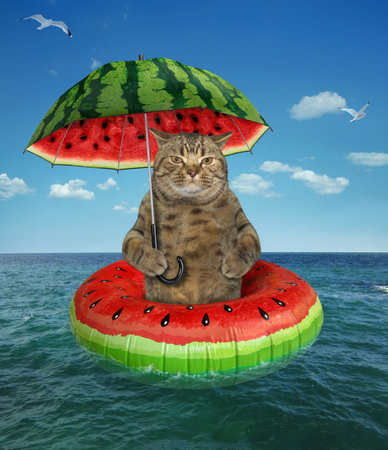 The cat under the umbrella is drifting on the watermelon inflatable circle in the open sea.