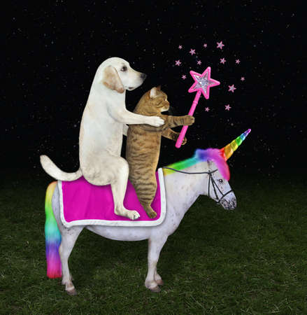 A dog labrador and a beige cat with a magic wand ride an unicorn in the meadow.の写真素材