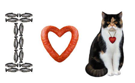 The cat with a ruby is sitting near a heart shaped sausage and the letter 'I' is made from small fishes. White background. Isolated.の写真素材