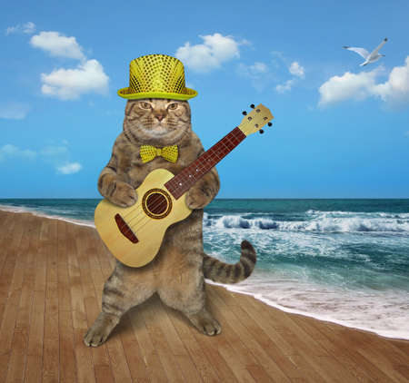 The cat dressed in a hat and a bow tie is playing the guitar on the deserted seashore.の写真素材