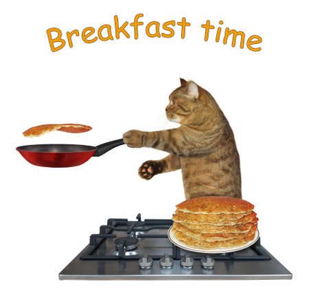 A beige cat cooks pancakes on a gas stove. Breakfast time. White background. Isolated.の写真素材