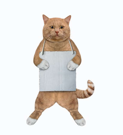 A reddish cat with a blank sign around his neck. White background. Isolated.の写真素材