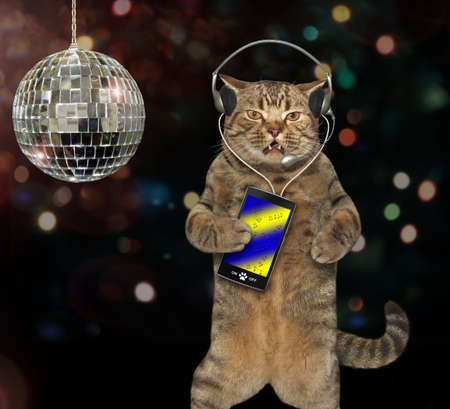 The cat in headphones with a smartphone is singing a song at the disco.の写真素材