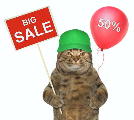 The cat in a green cap is holding a sign "big sale" and a red balloon. White background.の写真素材
