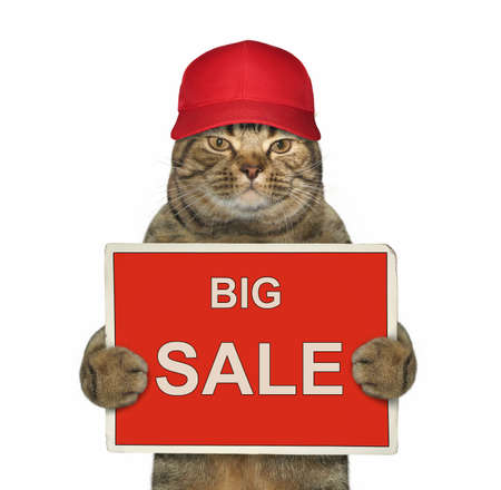 The cat in a red cap is holding a sign "big sale". White background.の写真素材