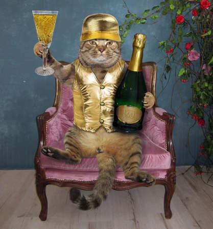 The cat with a glass of bubbly wine sits in the chair.の写真素材