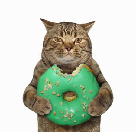 The cat holds a big green bitten donut. White background.の写真素材