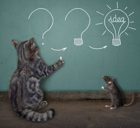A gray cat paints bulbs in chalk on the wall.