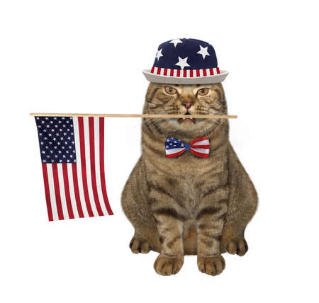 A beige cat patriot in a hat with a usa flag in its mouth. White background. Isolated.の写真素材
