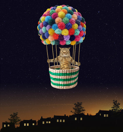 The cat is flying in a hot air balloon over the night city.の写真素材