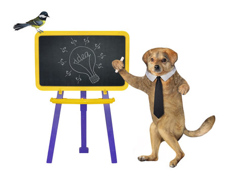 A beige dog is near a school board on legs with the bulb. White background. Isolated.の写真素材