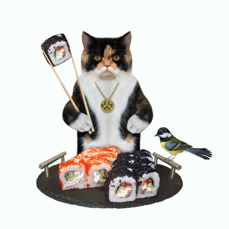 A colored cat is eating sushi with chopsticks from a from tray with handles. White background. Isolated.の写真素材