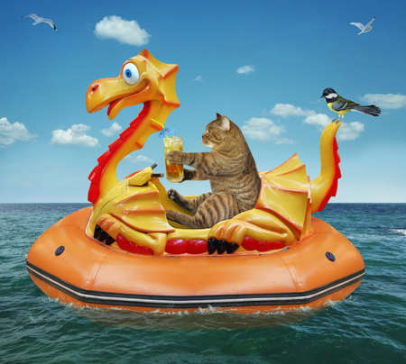 A beige cat with a glass of juice is floating on an inflatable dragon in the sea at a resort.の写真素材