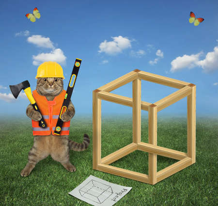 A beige cat carpenter in a construction helmet with an ax and a level is building an impossible cube in a meadow.の写真素材