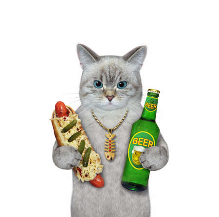 An ash cat holds a bottle of beer and a hot dog. White background. Isolated.の写真素材