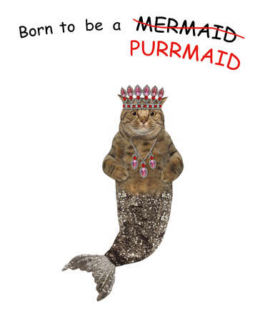 A beige cat with a silver fish tail. I'm a purrmaid. White background. Isolated.の写真素材