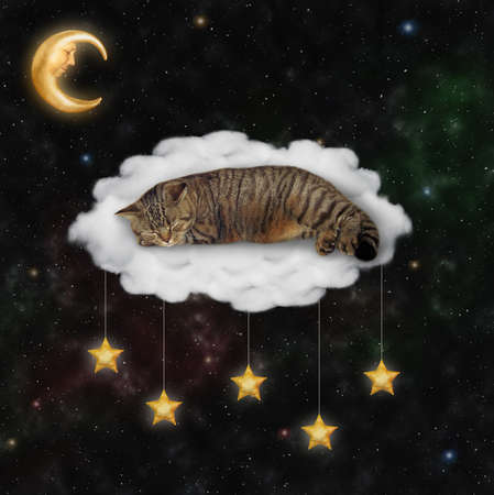 A beige cat in a sleep mask sleeps on a cloud bed under the star night sky.の写真素材