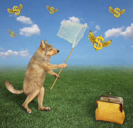 A beige dog with a butterfly net catches gold winged dollars in the meadow.