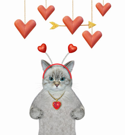 An ashen cat in a holiday headband is under heart shaped sausages. white background. isolated.