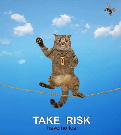 A beige cat acrobat with a pole is walking on the tightrope. take risk. No fear.の写真素材