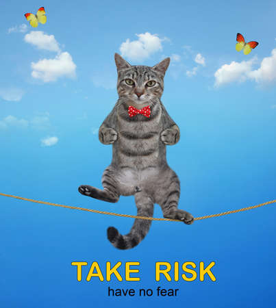 A gray cat acrobat with a pole is walking on the tightrope. take risk. No fear.の写真素材