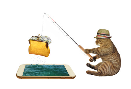 A beige cat caught a wallet with dollars from a mobile phone using a fishing rod. white background. isolated.の写真素材