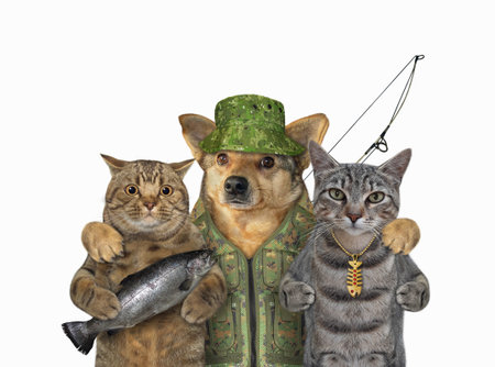 A beige dog fisher hugs two cats. White background. Isolated.