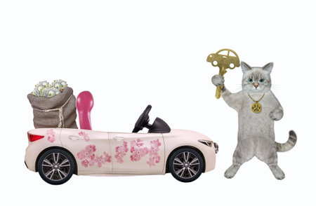 An ashen cat with a key is at a pink car in the trunk of which there is a bag of money. White background. Isolated.の写真素材