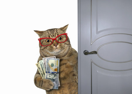 A beige cat in glasses with a fan of dollars near a door. White background. Isolated.の写真素材