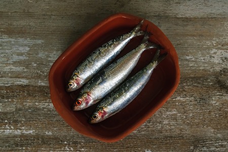 Fresh sardines. Omega 3. Fish with herbs. Mediterranean fish in the earthenware crockery, brown ware.の写真素材