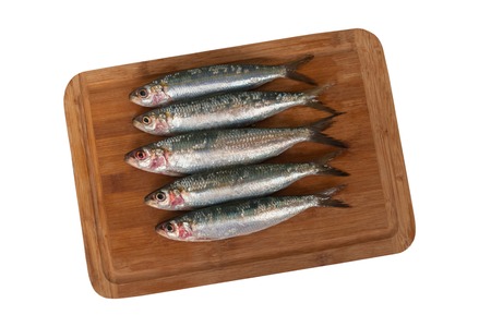 Fresh sardines. Omega 3. Fish with herbs. Mediterranean fish on the wooden carving board isolated on white background.の写真素材
