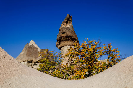 Cappadocia, Turkey. Fairy Chimney. Multihead stone mushrooms in the Valley of the Monks. Pasabag Valleyの写真素材
