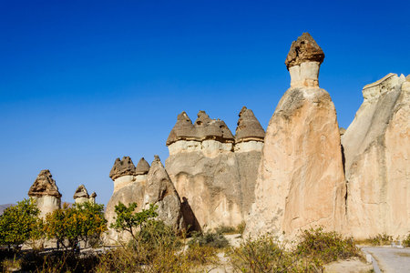 Cappadocia, Turkey. Fairy Chimney. Multihead stone mushrooms in the Valley of the Monks. Pasabag...