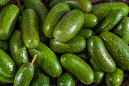 Fresh seedless cocktail avocado background. Cucumber avocado. Marks and Spencer new genetic gift for avocado fansの写真素材