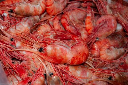 boiled red shrimps textureの写真素材